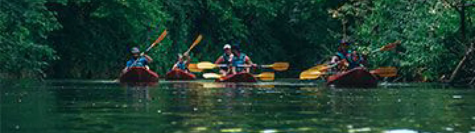 Rivière en canoë